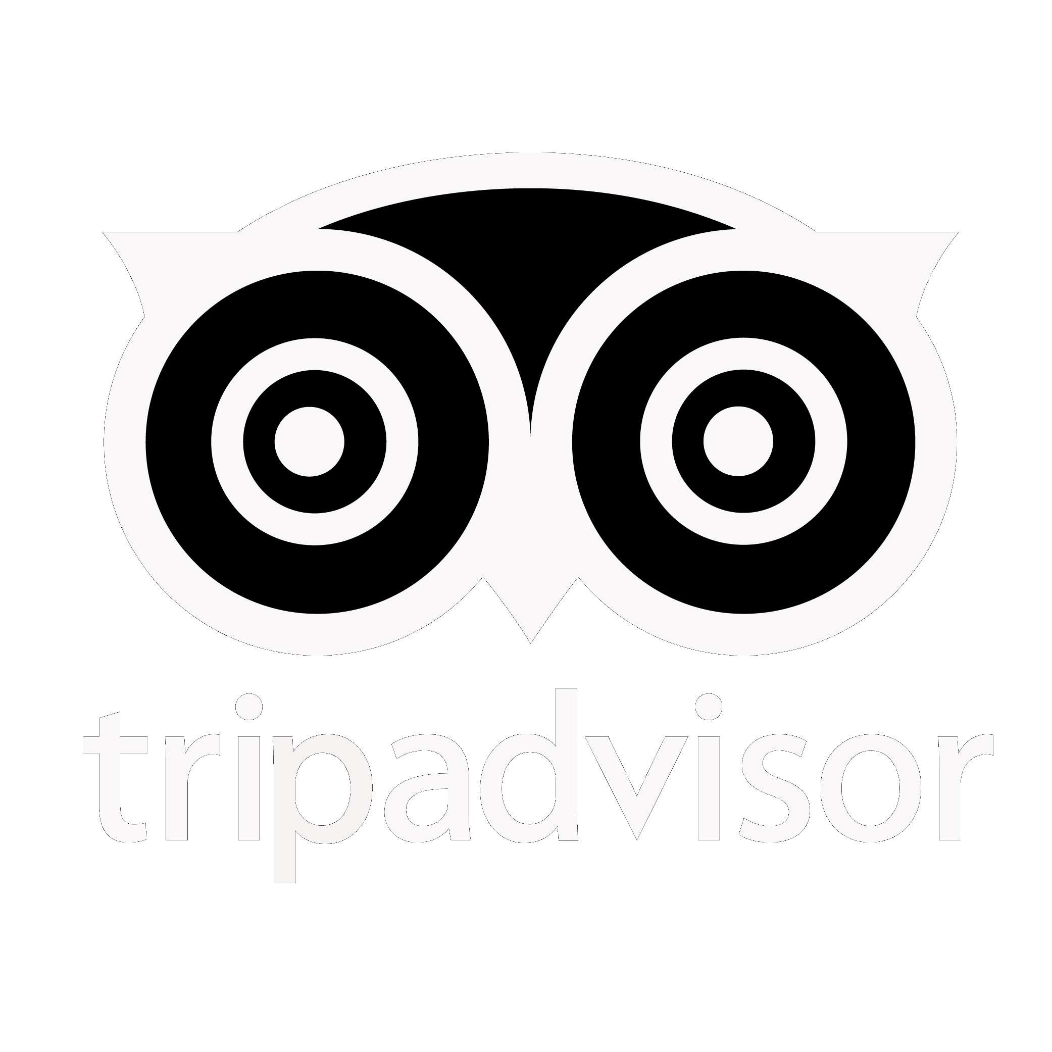 Trip Advisor Logo